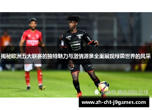 揭秘欧洲五大联赛的独特魅力与激情源泉全面展现绿茵世界的风采