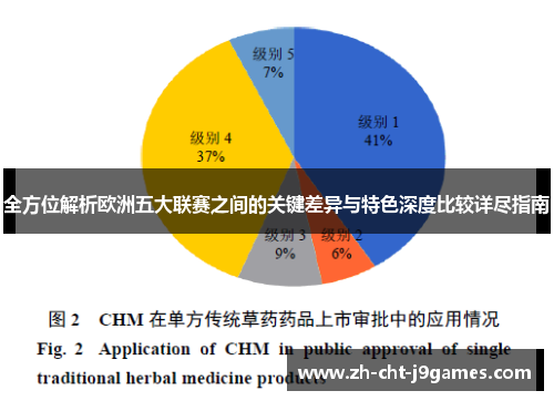 全方位解析欧洲五大联赛之间的关键差异与特色深度比较详尽指南